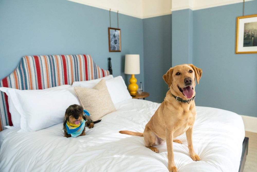 image-3d3e0cacd287b01906e4b7def7b5ddd08bbe4b5f-5809x3873-jpg