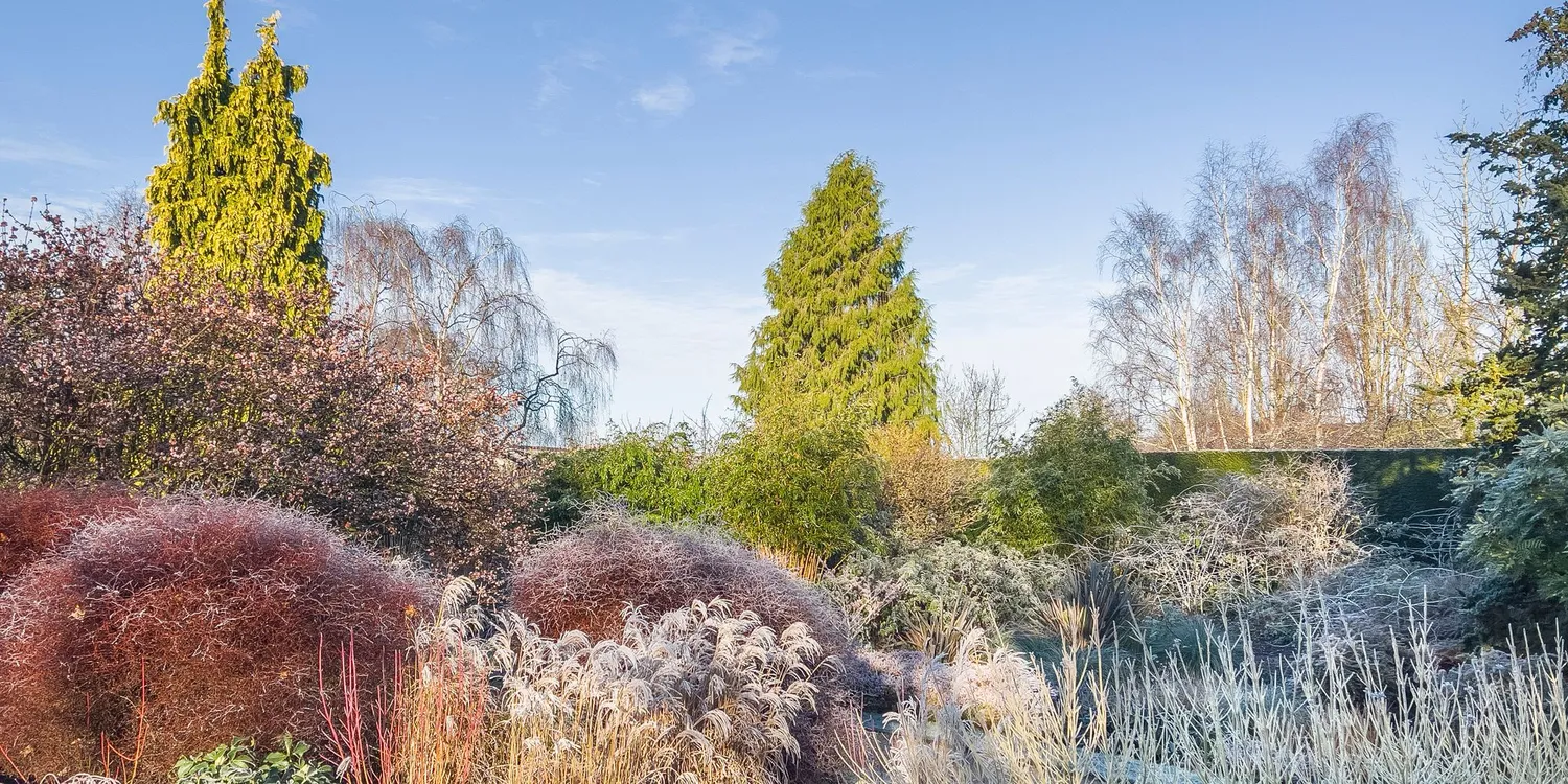 image-1062a0af48b72a037250eed8af0c616a18d4b021-3526x2645-jpg