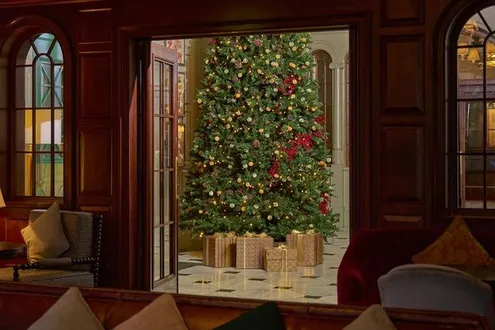 image-4350f14c59cdac8b1c8294f554eab5986508c957-2500x1667-jpg