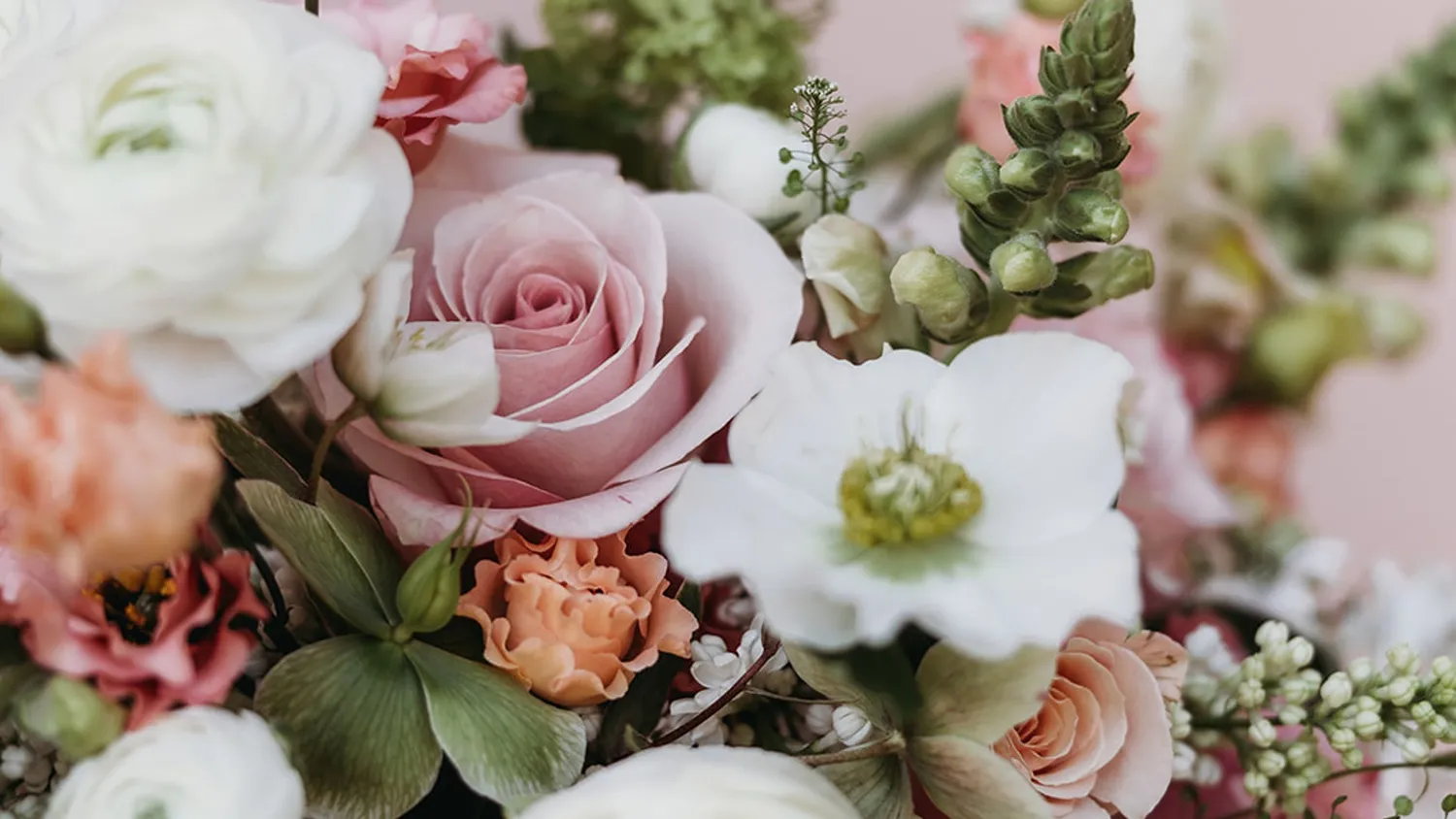 image-1bb32b6db9587c373e9406b10d34e20c20be9c11-1067x1600-jpg